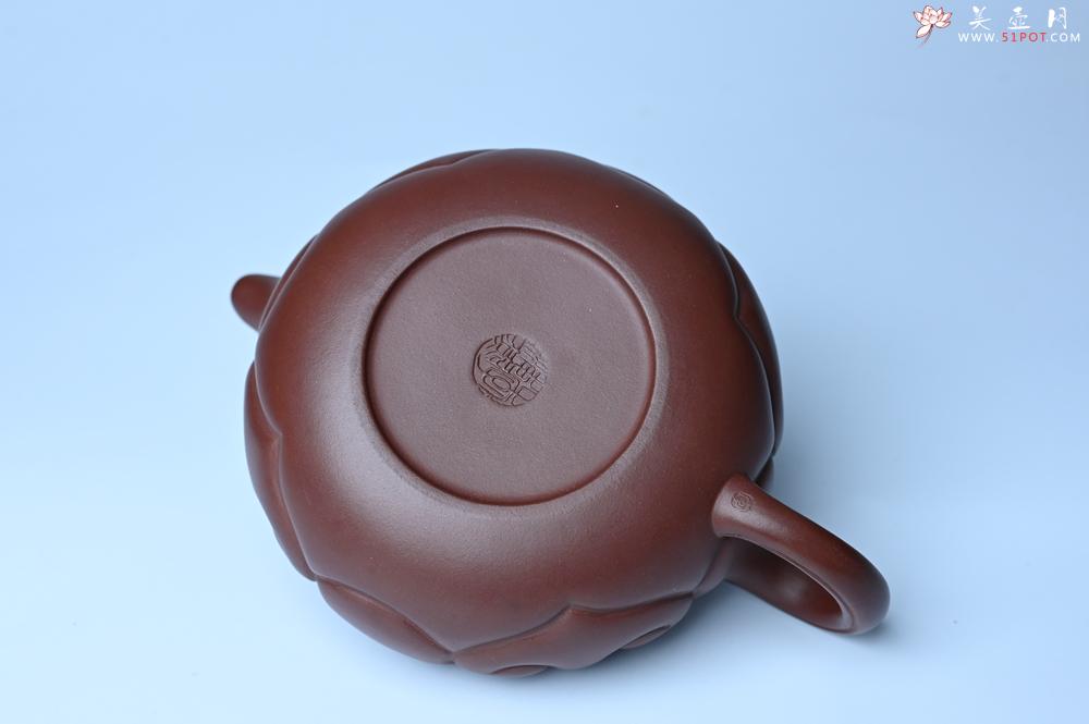 紫砂壶图片：紫砂壶特惠 精致紫泥仿古如意壶 茶人醉爱 - 紫砂壶信息网