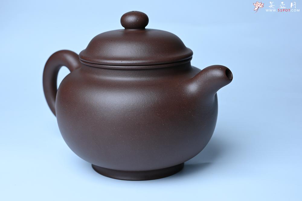紫砂壶图片：紫砂壶特惠 精致大掇只壶 大品气势恢宏 茶人醉爱 - 紫砂壶信息网