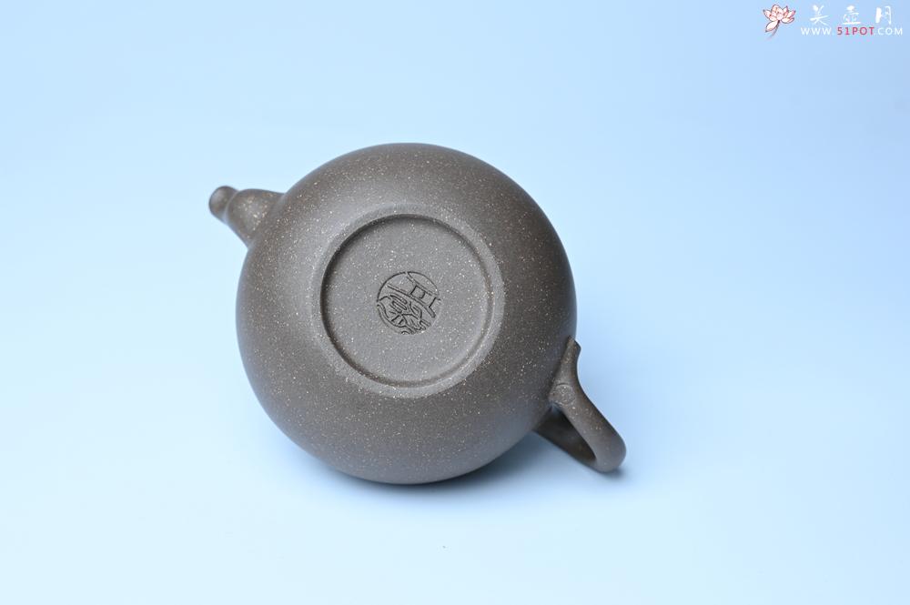 紫砂壶图片：紫砂壶特惠 精致青段大肚茄子壶 茶人醉爱 - 紫砂壶信息网