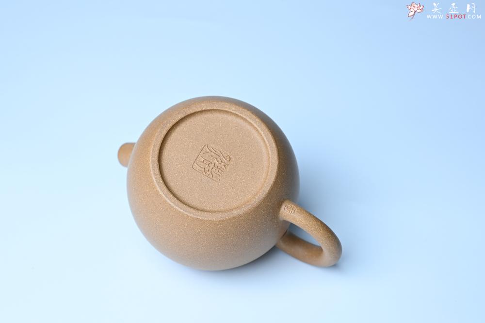 紫砂壶图片：紫砂壶特惠 特好老黄段泥精致大炮巨轮壶 茶人醉爱 - 紫砂壶信息网