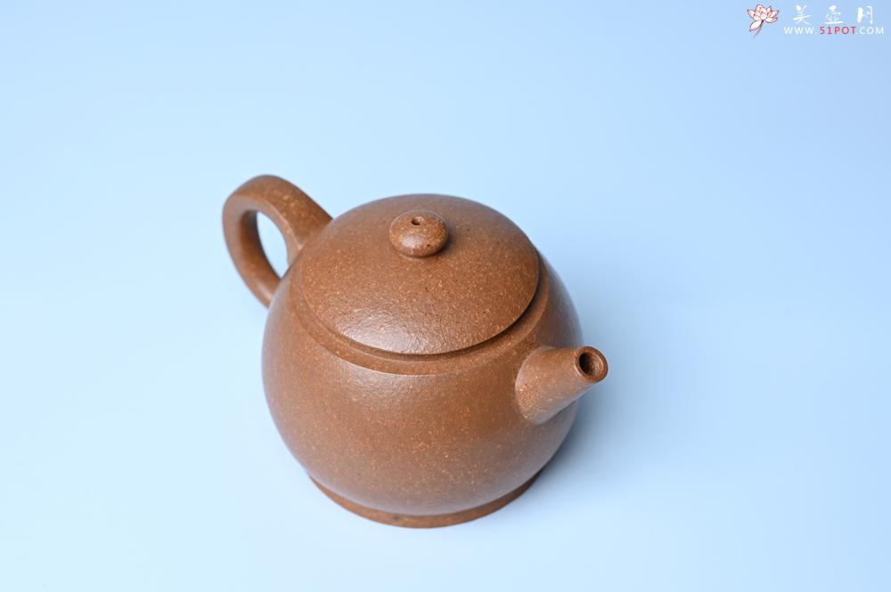 紫砂壶图片：紫砂壶特惠 特好黄降坡泥巨轮珠紫砂壶 茶人醉爱 - 紫砂壶信息网