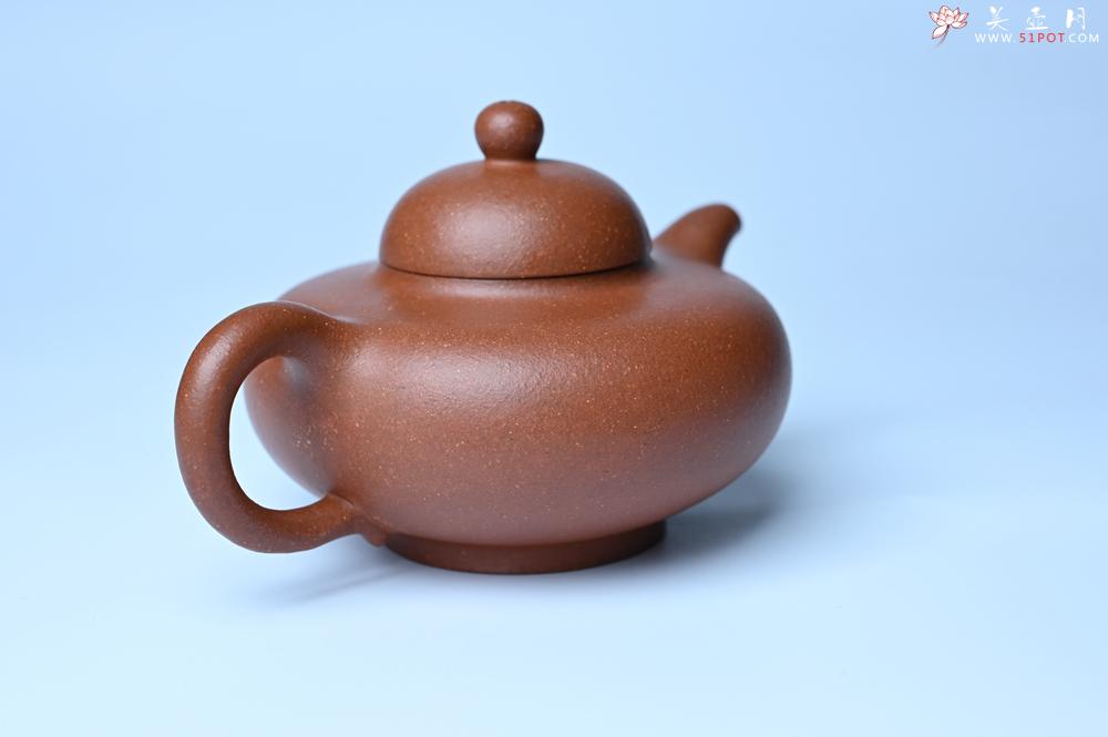 紫砂壶图片：紫砂壶特惠 精致特好降坡泥华颖壶 茶人醉爱 - 紫砂壶信息网