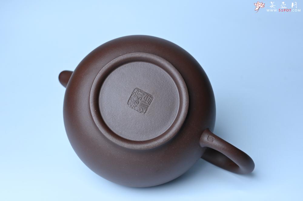 紫砂壶图片：紫砂壶特惠 精致大掇只壶 大品气势恢宏 茶人醉爱 - 紫砂壶信息网