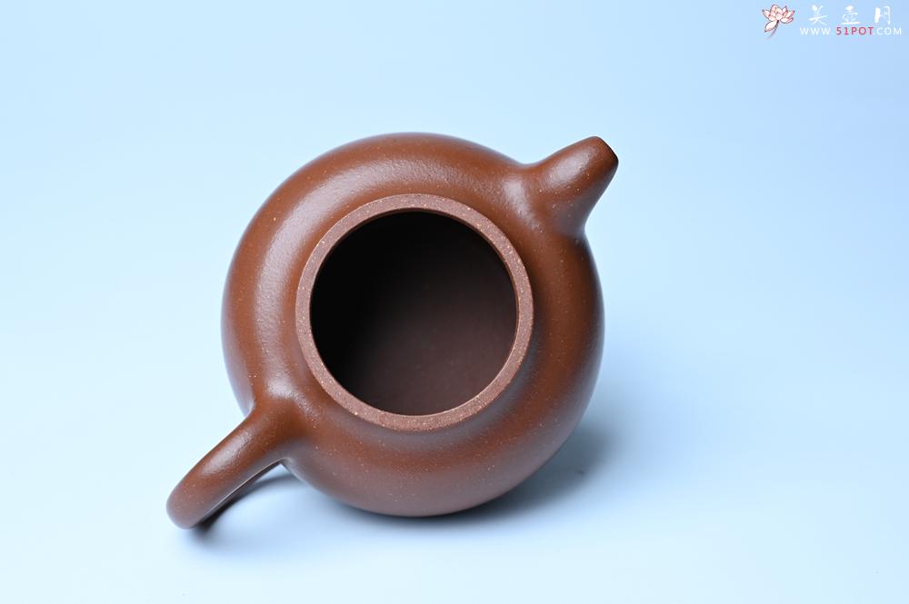 紫砂壶图片：潜力股周小培老师 油润降坡泥全手工茄瓜壶 - 紫砂壶信息网