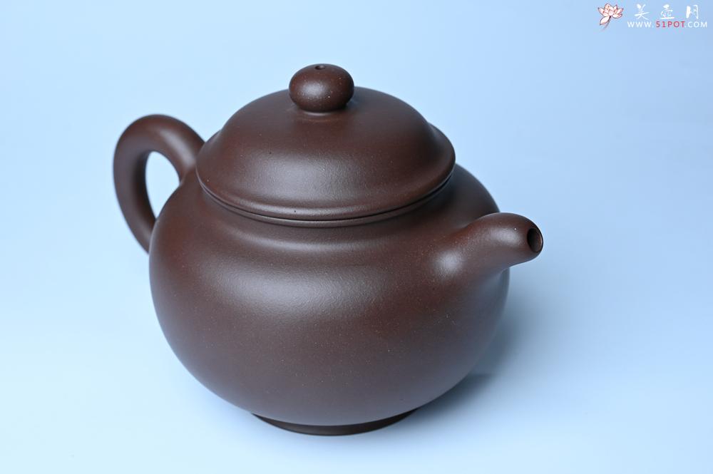 紫砂壶图片：紫砂壶特惠 精致大掇只壶 大品气势恢宏 茶人醉爱 - 紫砂壶信息网