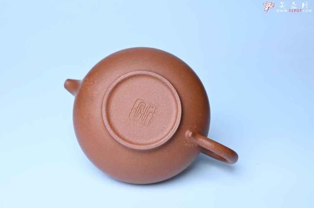 紫砂壶图片：紫砂壶特惠 精致特好降坡泥华颖壶 茶人醉爱 - 紫砂壶信息网