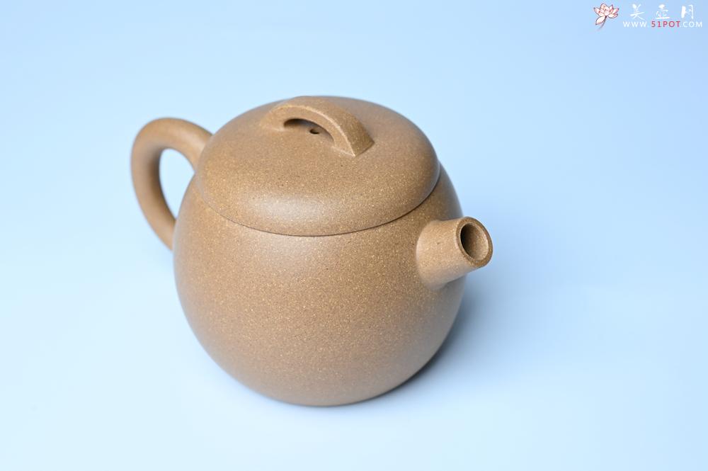 紫砂壶图片：紫砂壶特惠 特好老黄段泥精致大炮巨轮壶 茶人醉爱 - 紫砂壶信息网