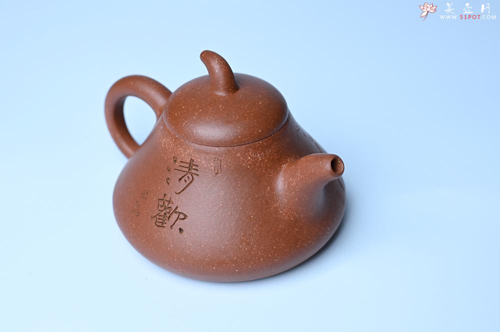 紫砂壶图片：紫砂壶特惠 潜力股王老师 全手工拍打成型茄瓢壶 装饰枯枝鸟 特文气 - 紫砂壶信息网