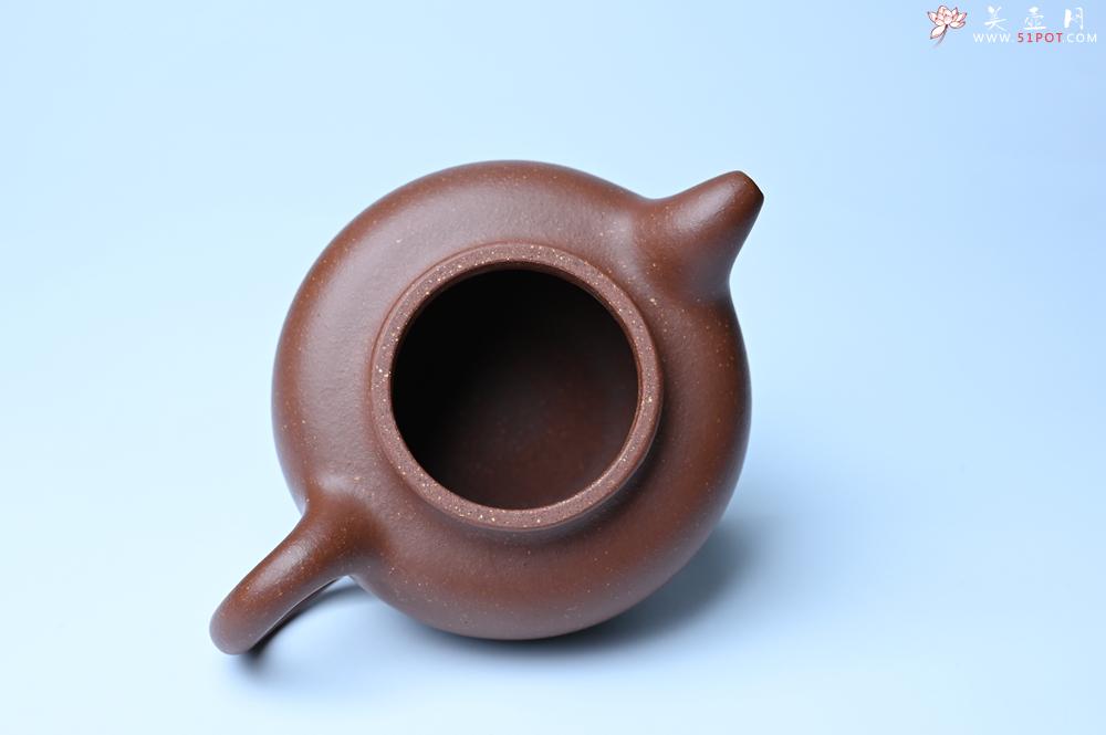 紫砂壶图片：紫砂壶特惠 精致降坡泥大亨掇只壶 茶人醉爱 - 紫砂壶信息网