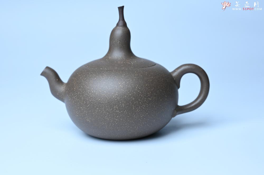 紫砂壶图片：紫砂壶特惠 精致青段大肚茄子壶 茶人醉爱 - 紫砂壶信息网