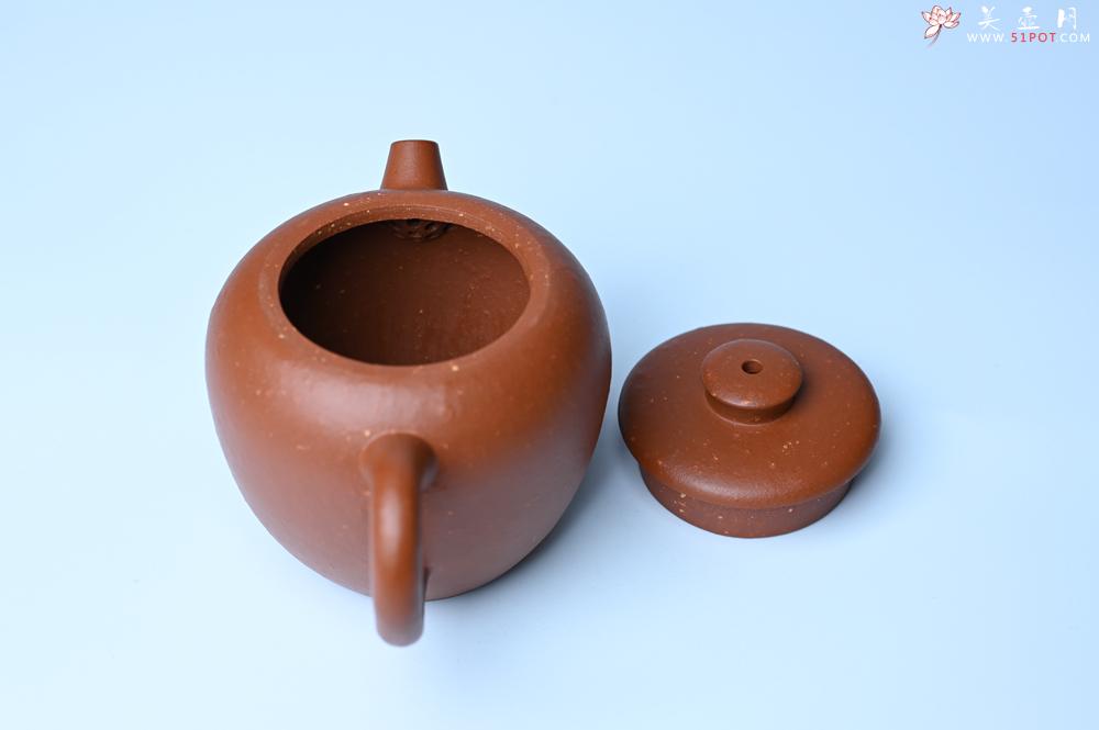 紫砂壶图片：紫砂壶特惠 精品粗砂红泥巨轮壶 茶人醉爱 - 紫砂壶信息网