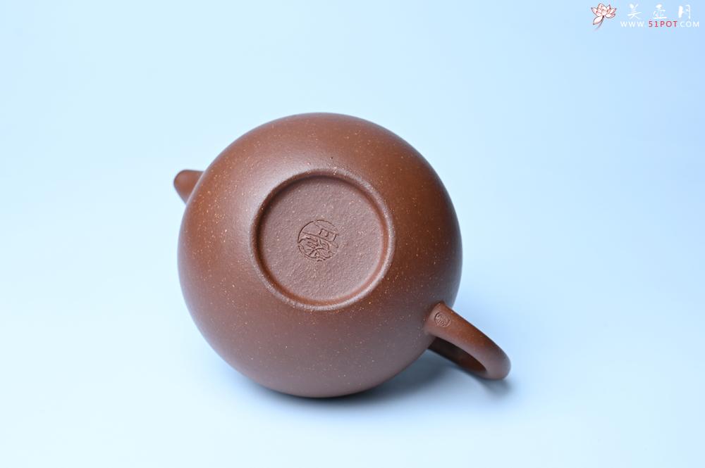 紫砂壶图片：紫砂壶特惠 精致降坡泥大亨掇只壶 茶人醉爱 - 紫砂壶信息网