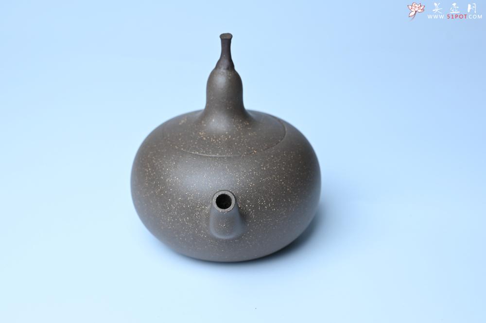 紫砂壶图片：紫砂壶特惠 精致青段大肚茄子壶 茶人醉爱 - 紫砂壶信息网