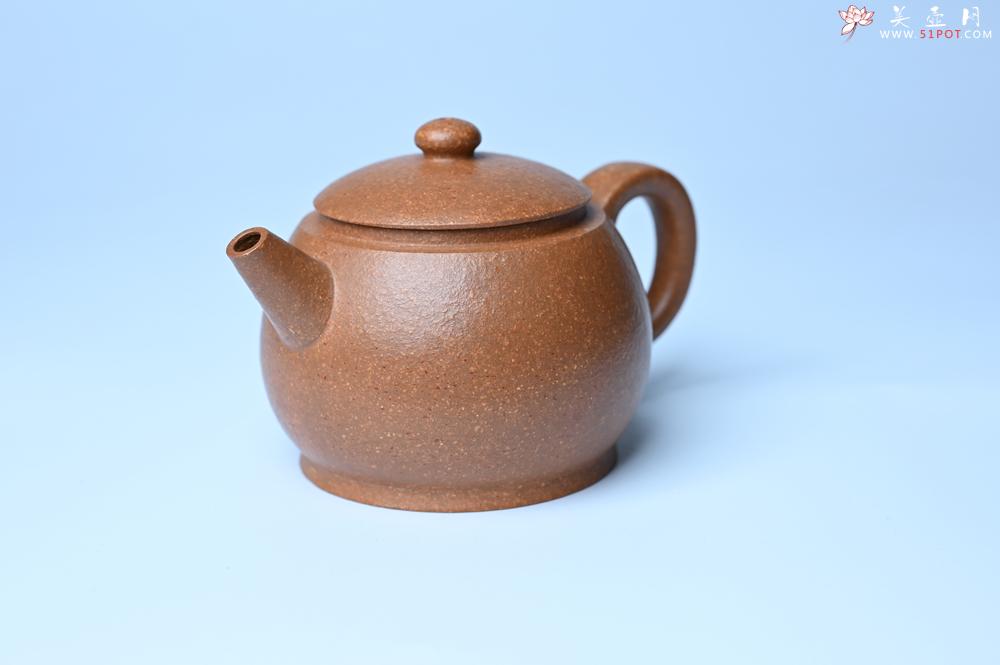 紫砂壶图片：紫砂壶特惠 特好黄降坡泥巨轮珠紫砂壶 茶人醉爱 - 紫砂壶信息网