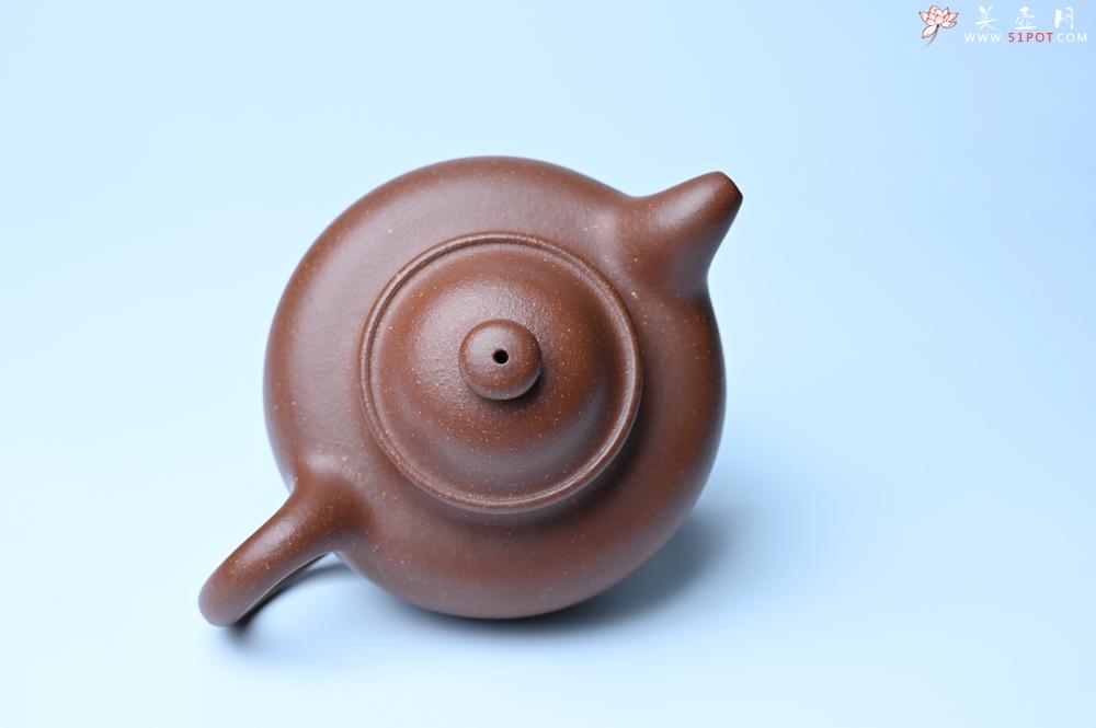 紫砂壶图片：紫砂壶特惠 精致降坡泥大亨掇只壶 茶人醉爱 - 紫砂壶信息网