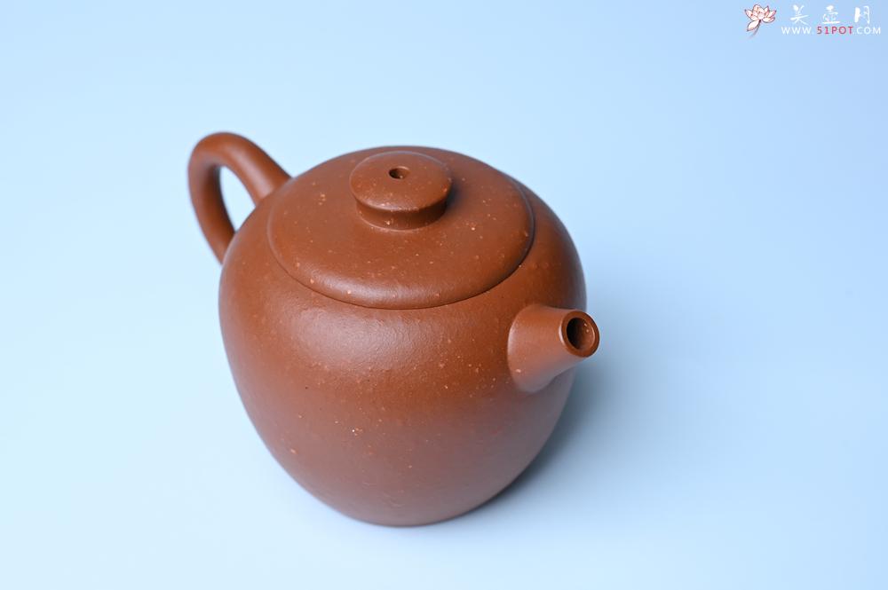 紫砂壶图片：紫砂壶特惠 精品粗砂红泥巨轮壶 茶人醉爱 - 紫砂壶信息网