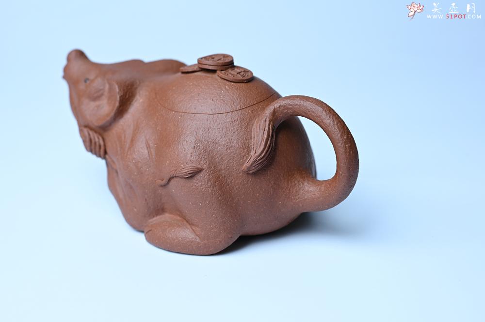 紫砂壶图片：紫砂壶特惠 优质降坡泥鼠你有钱壶壶 茶人醉爱 - 紫砂壶信息网