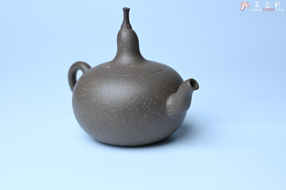 紫砂壶图片：紫砂壶特惠 精致青段大肚茄子壶 茶人醉爱 - 紫砂壶信息网