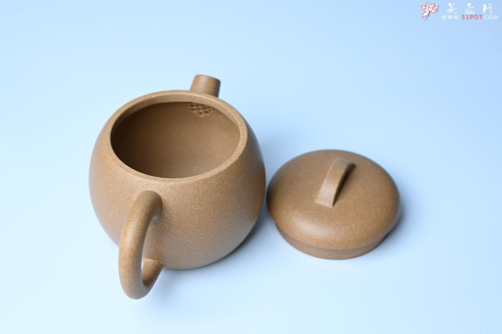 紫砂壶图片：紫砂壶特惠 特好老黄段泥精致大炮巨轮壶 茶人醉爱 - 紫砂壶信息网