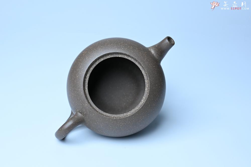 紫砂壶图片：紫砂壶特惠 精致青段大肚茄子壶 茶人醉爱 - 紫砂壶信息网