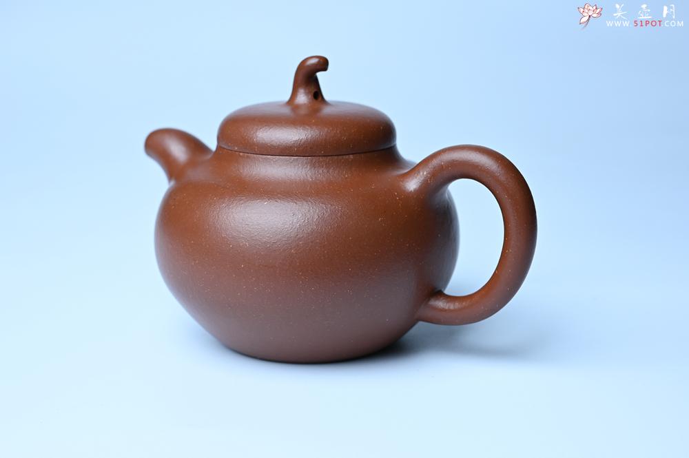紫砂壶图片：潜力股周小培老师 油润降坡泥全手工茄瓜壶 - 紫砂壶信息网