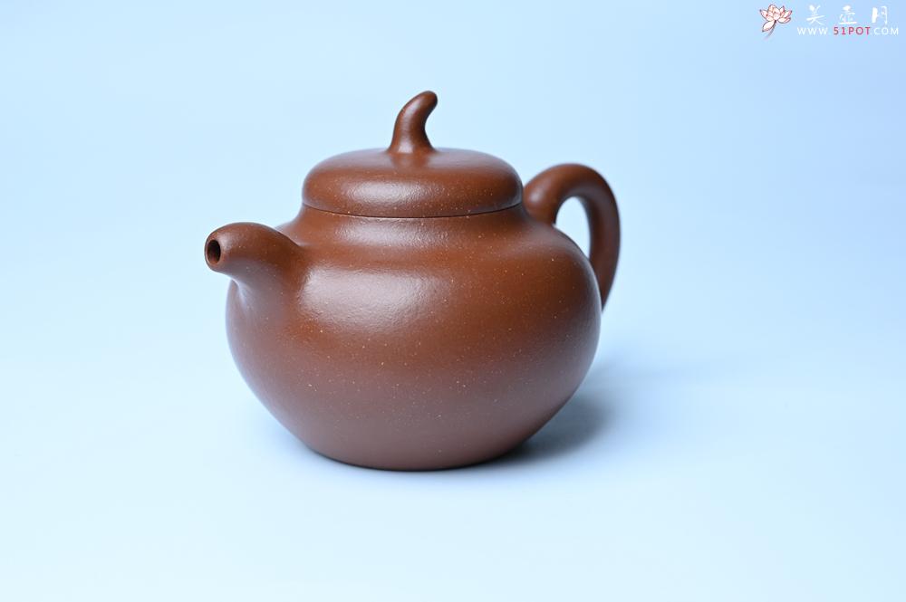 紫砂壶图片：潜力股周小培老师 油润降坡泥全手工茄瓜壶 - 紫砂壶信息网