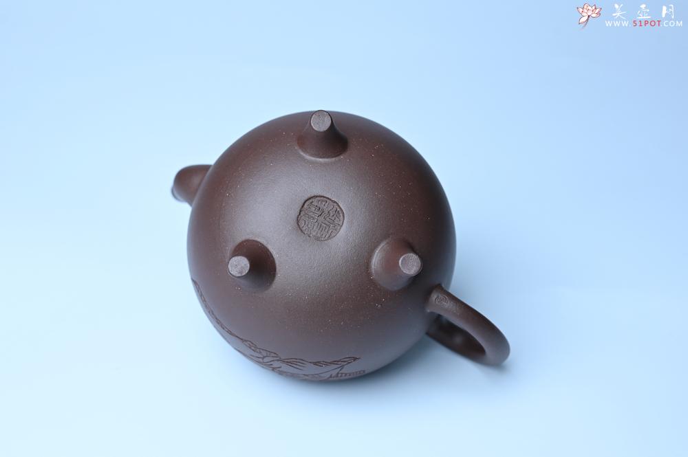 紫砂壶图片：紫砂壶特惠 优质紫泥精致三足鼎壶 品茶论道 - 紫砂壶信息网