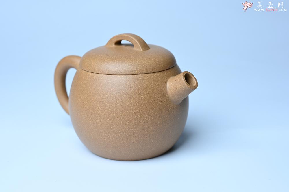 紫砂壶图片：紫砂壶特惠 特好老黄段泥精致大炮巨轮壶 茶人醉爱 - 紫砂壶信息网