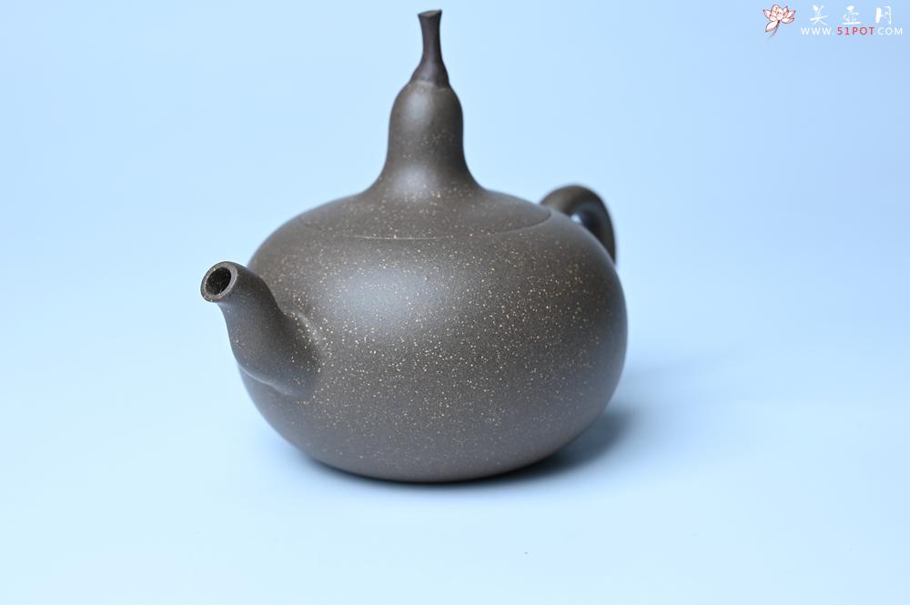 紫砂壶图片：紫砂壶特惠 精致青段大肚茄子壶 茶人醉爱 - 紫砂壶信息网