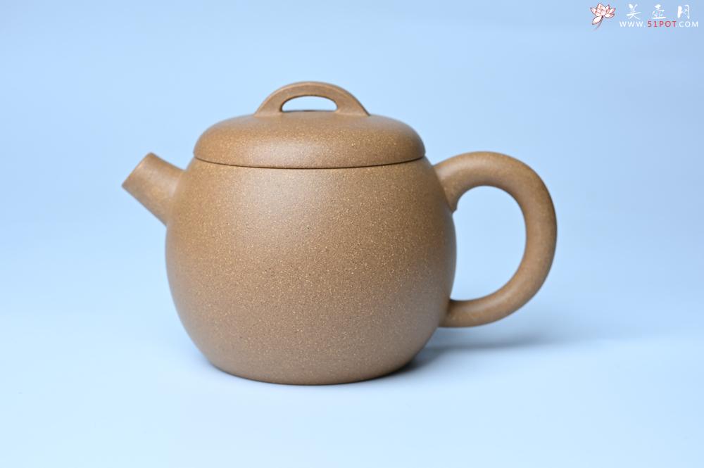 紫砂壶图片：紫砂壶特惠 特好老黄段泥精致大炮巨轮壶 茶人醉爱 - 紫砂壶信息网