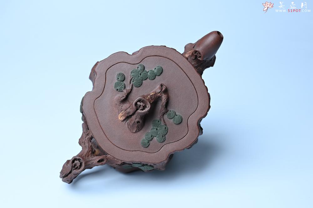 紫砂壶图片：实力派国工奚亮 全手工双色松桩壶 此壶灵动刻画描绘松桩之形 - 紫砂壶信息网